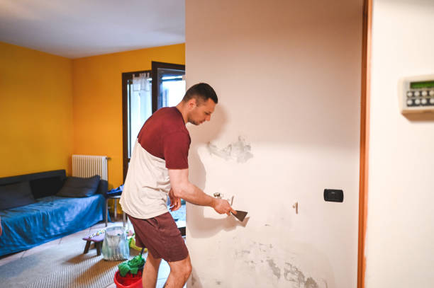 Best Insurance-Related Mold Remediation in Country Squire Lakes, IN